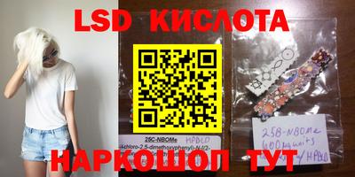 прущие крисы Краснознаменск