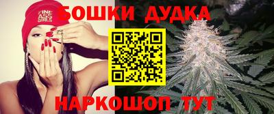 Альфа ПВП Краснокаменск