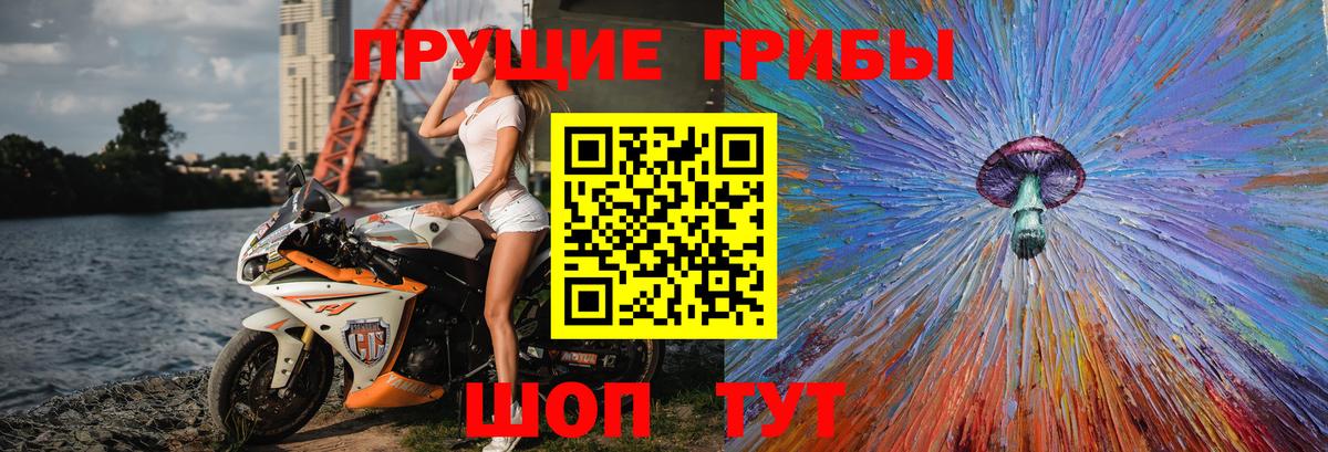 продажа наркотиков  Вход с VPN  Карпинск  Галлюциногенные грибы Psilocybine cubensis 