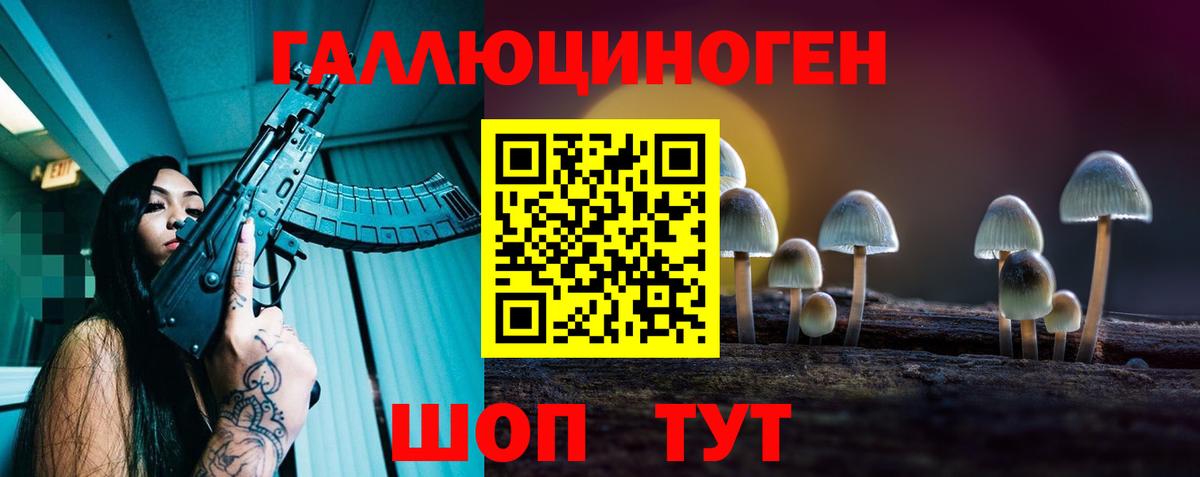 Галлюциногенные грибы прущие грибы Карпинск